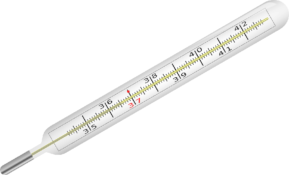 Obserwacja dni płodnych na podstawie pomiaru temperatury