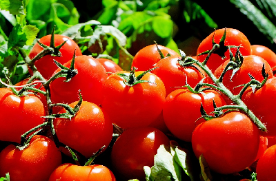 Suszone pomidory – smak lata przez cały rok. Dlaczego warto je jeść?